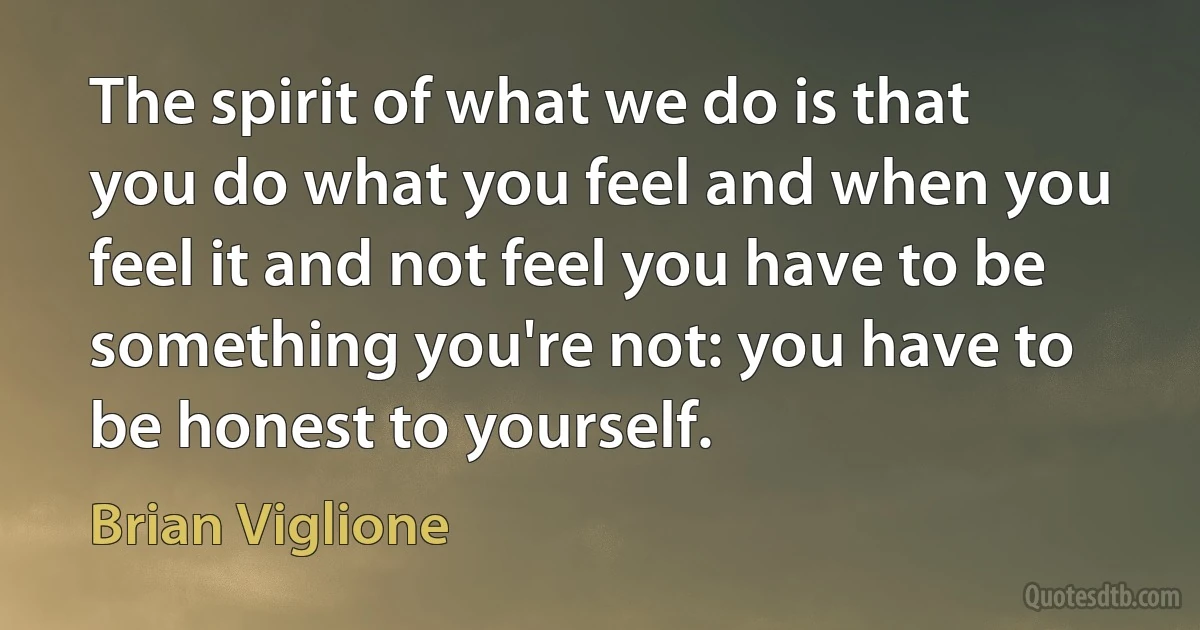 The spirit of what we do is that you do what you feel and when you feel it and not feel you have to be something you're not: you have to be honest to yourself. (Brian Viglione)