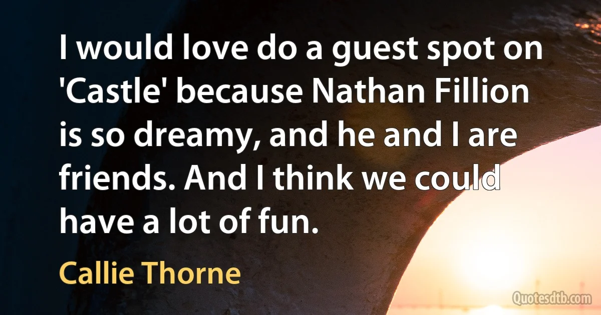 I would love do a guest spot on 'Castle' because Nathan Fillion is so dreamy, and he and I are friends. And I think we could have a lot of fun. (Callie Thorne)