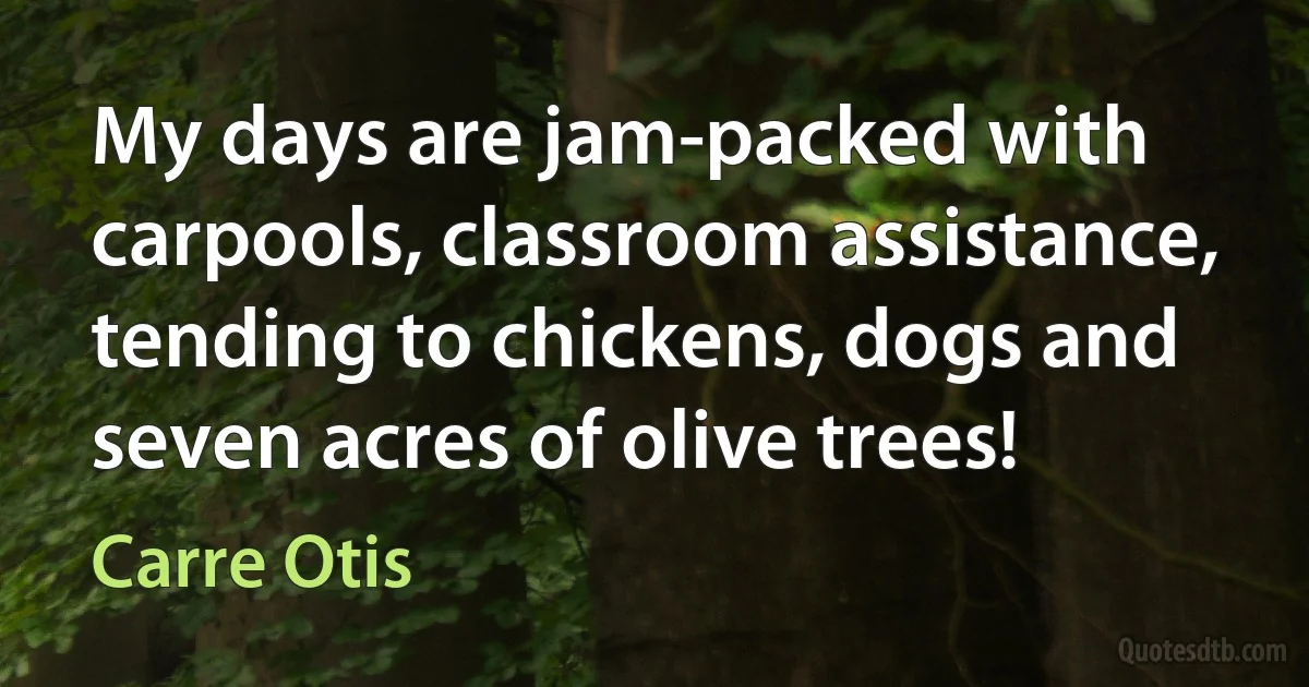 My days are jam-packed with carpools, classroom assistance, tending to chickens, dogs and seven acres of olive trees! (Carre Otis)