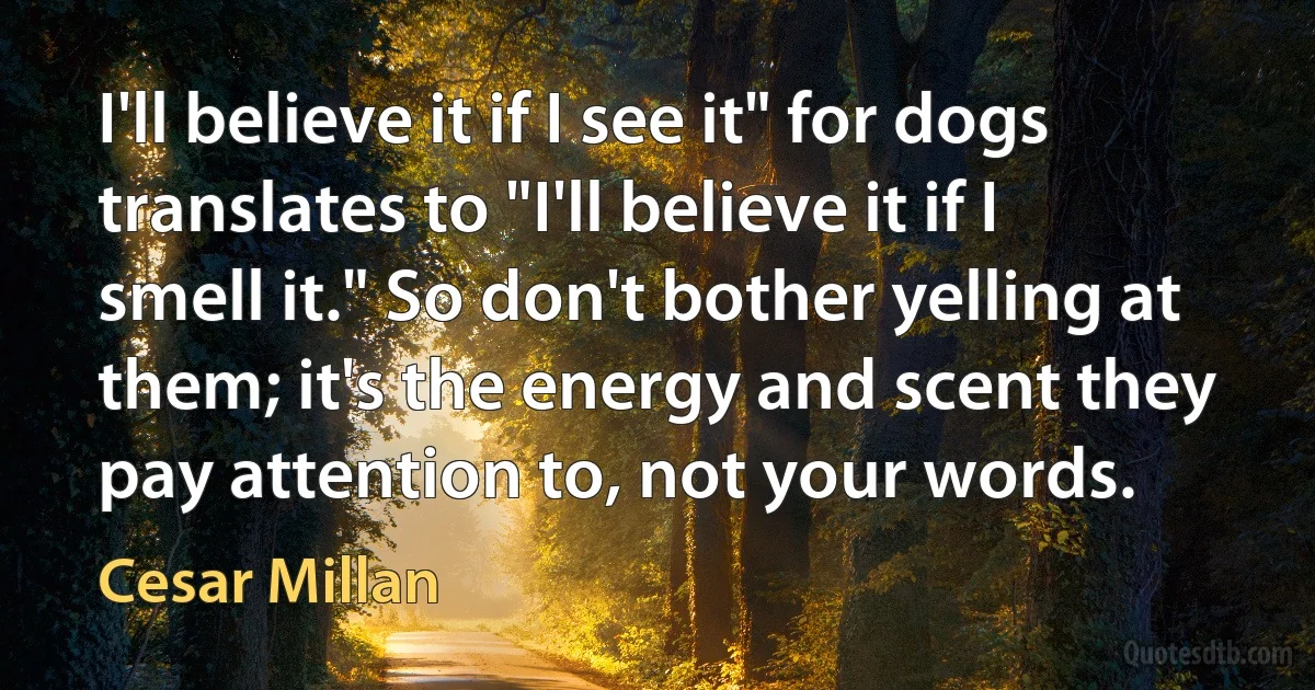 I'll believe it if I see it" for dogs translates to "I'll believe it if I smell it." So don't bother yelling at them; it's the energy and scent they pay attention to, not your words. (Cesar Millan)