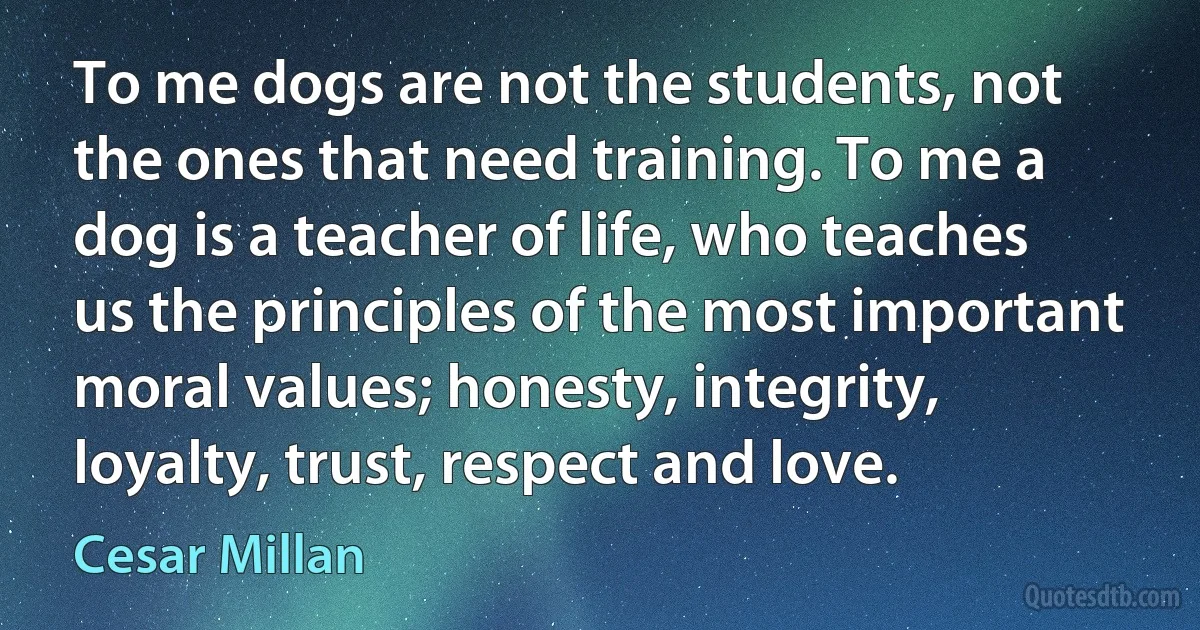 To me dogs are not the students, not the ones that need training. To me a dog is a teacher of life, who teaches us the principles of the most important moral values; honesty, integrity, loyalty, trust, respect and love. (Cesar Millan)