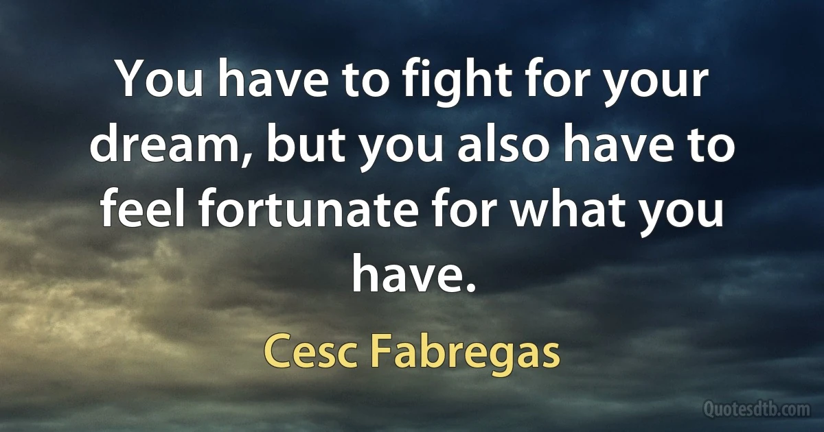 You have to fight for your dream, but you also have to feel fortunate for what you have. (Cesc Fabregas)