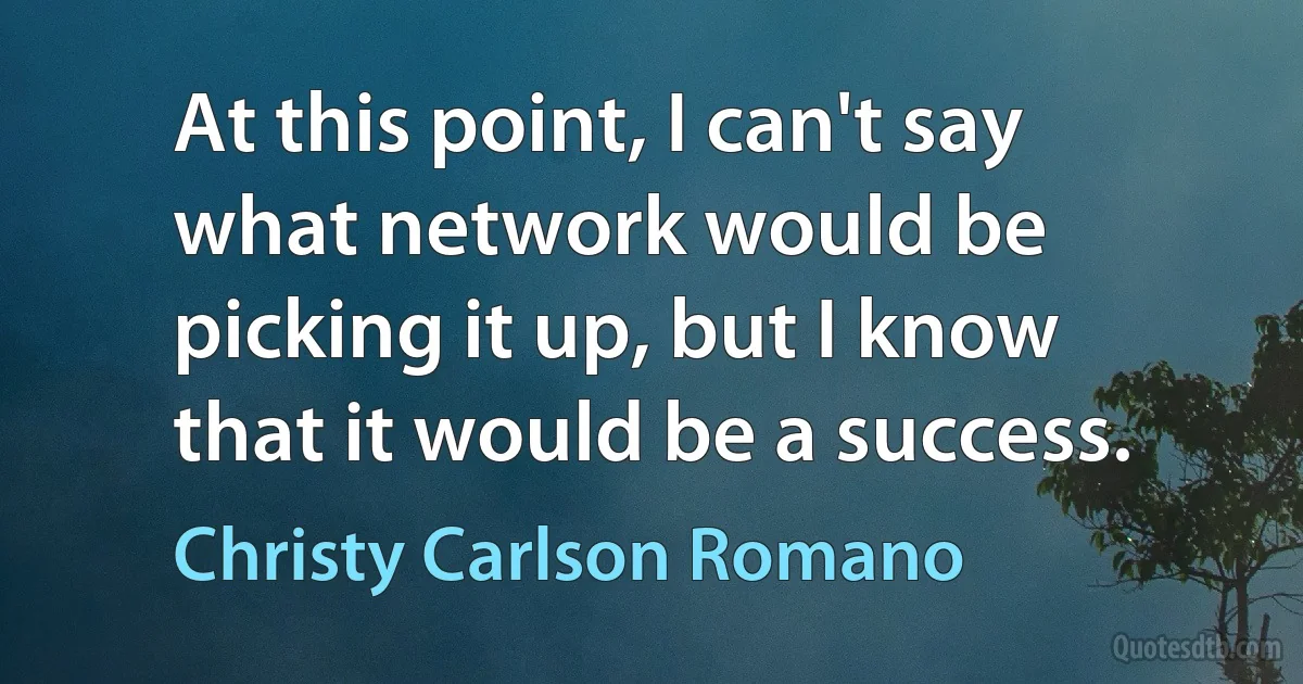 At this point, I can't say what network would be picking it up, but I know that it would be a success. (Christy Carlson Romano)