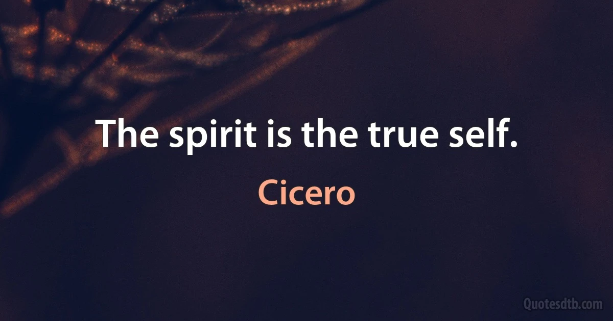 The spirit is the true self. (Cicero)