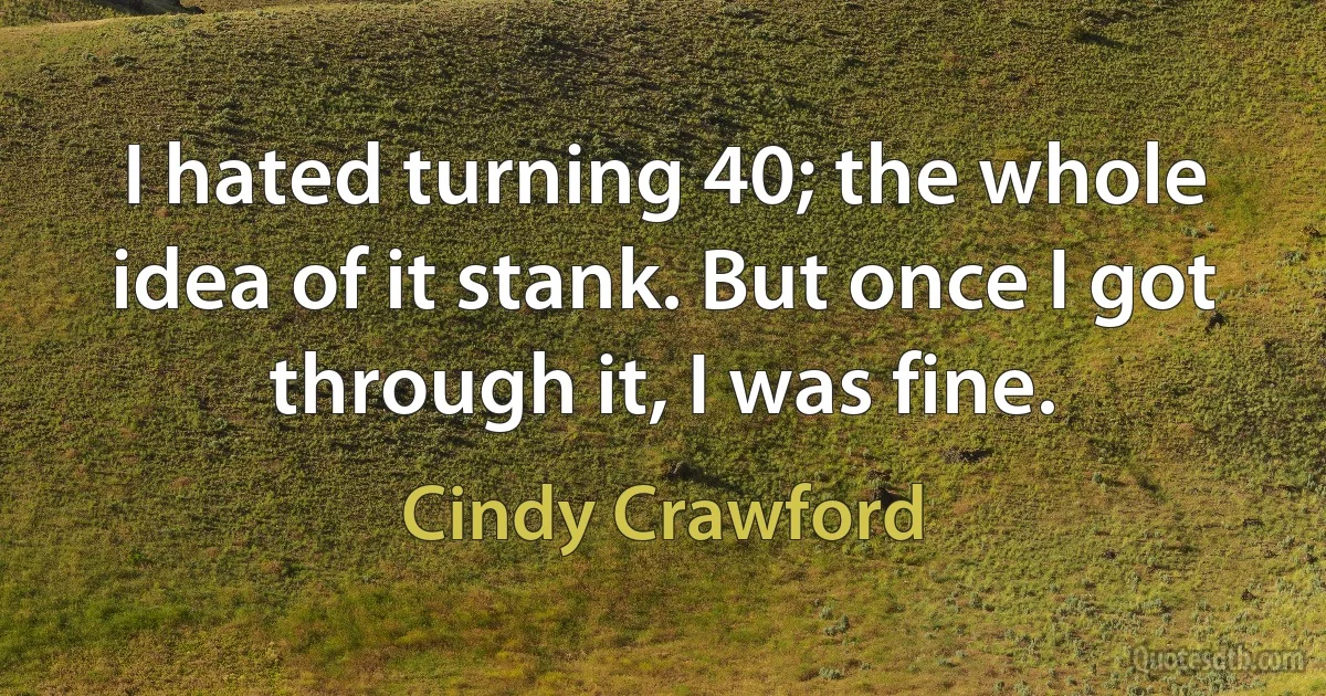 I hated turning 40; the whole idea of it stank. But once I got through it, I was fine. (Cindy Crawford)