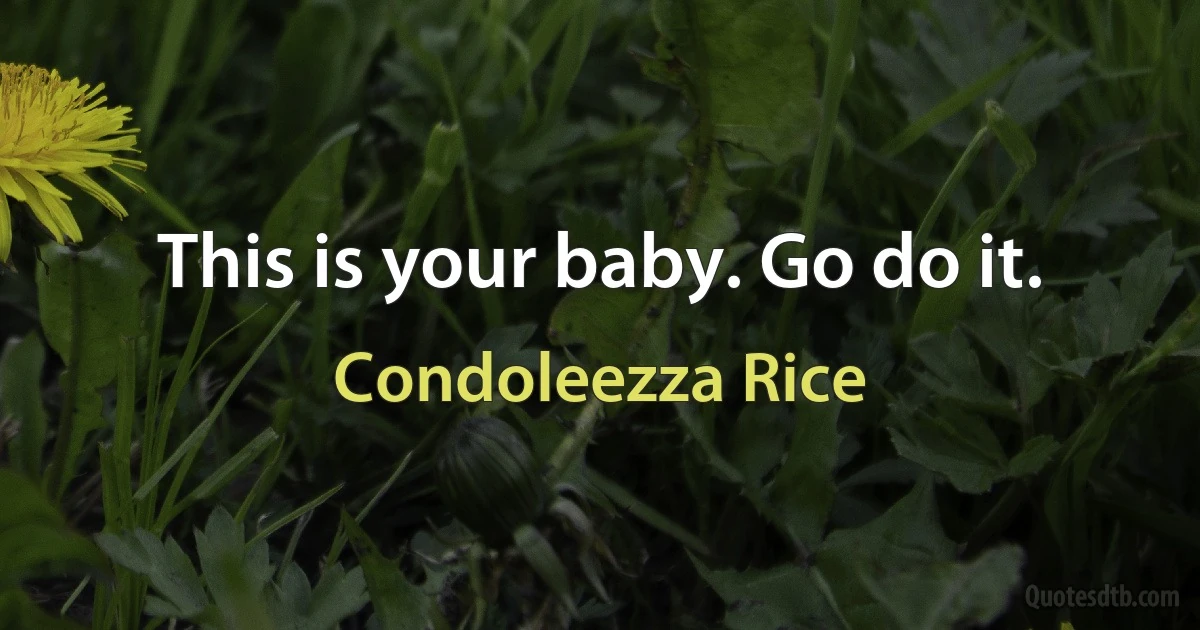 This is your baby. Go do it. (Condoleezza Rice)