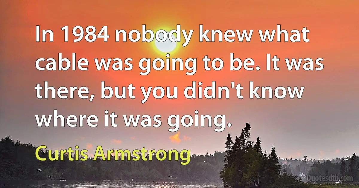 In 1984 nobody knew what cable was going to be. It was there, but you didn't know where it was going. (Curtis Armstrong)