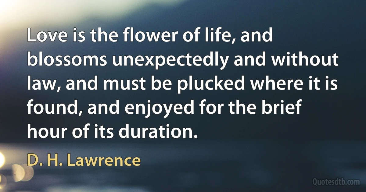 Love is the flower of life, and blossoms unexpectedly and without law, and must be plucked where it is found, and enjoyed for the brief hour of its duration. (D. H. Lawrence)