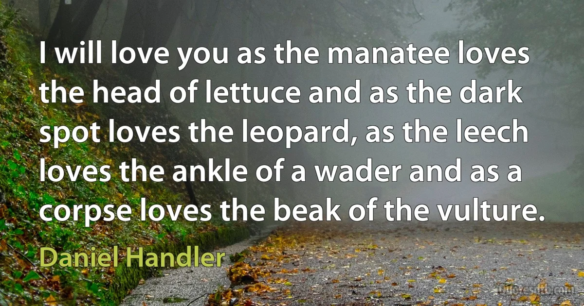 I will love you as the manatee loves the head of lettuce and as the dark spot loves the leopard, as the leech loves the ankle of a wader and as a corpse loves the beak of the vulture. (Daniel Handler)