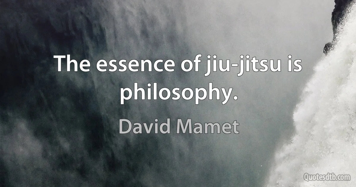 The essence of jiu-jitsu is philosophy. (David Mamet)