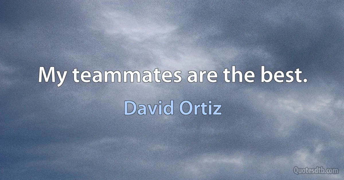 My teammates are the best. (David Ortiz)