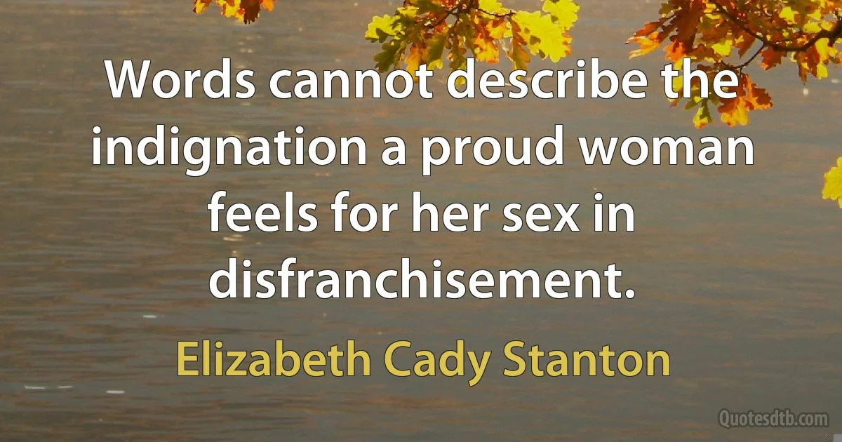 Words cannot describe the indignation a proud woman feels for her sex in disfranchisement. (Elizabeth Cady Stanton)