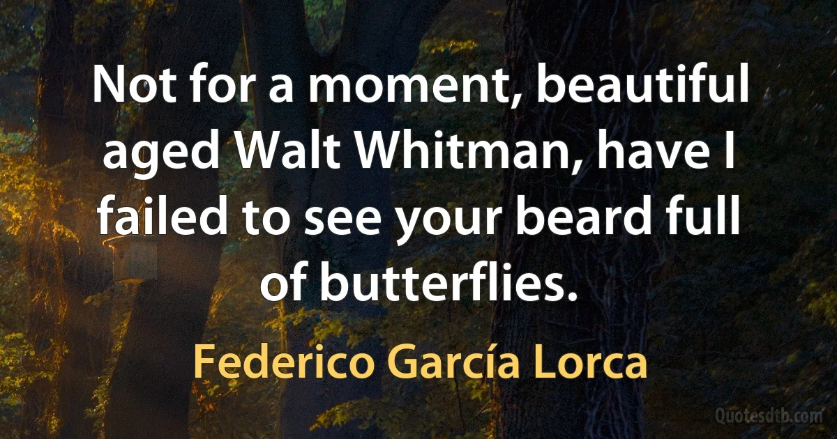 Not for a moment, beautiful aged Walt Whitman, have I failed to see your beard full of butterflies. (Federico García Lorca)