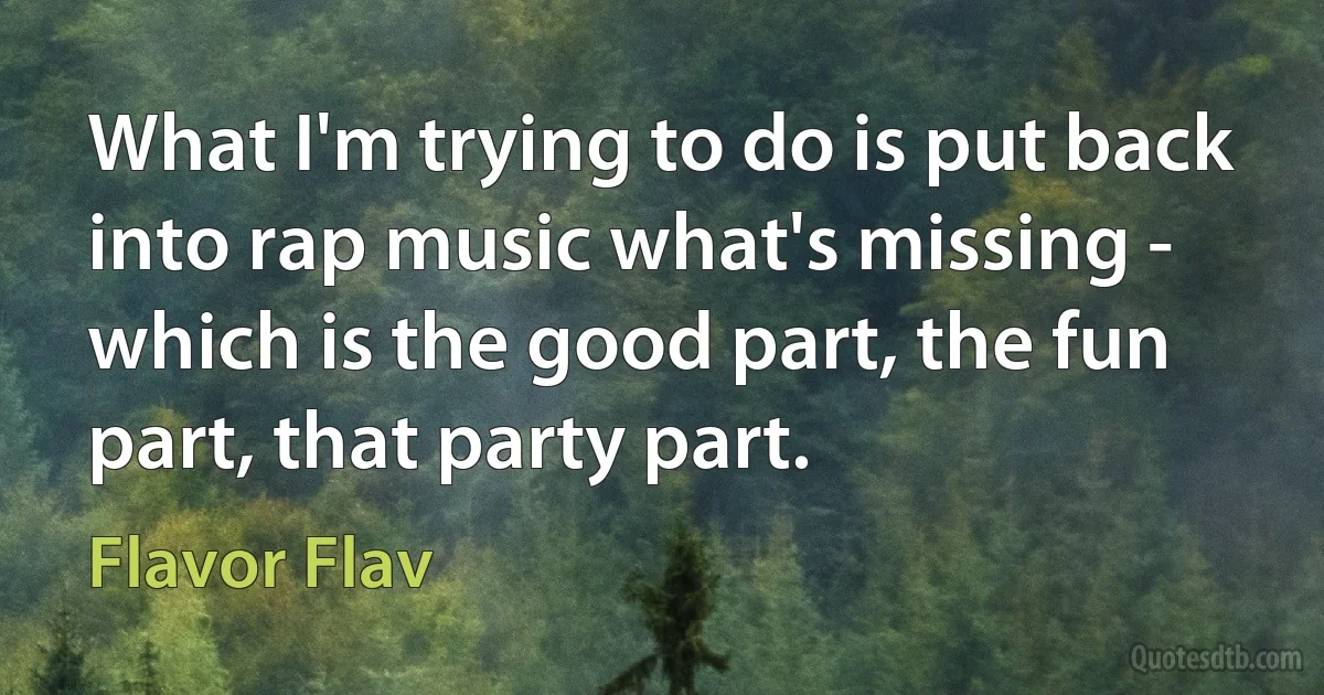 What I'm trying to do is put back into rap music what's missing - which is the good part, the fun part, that party part. (Flavor Flav)