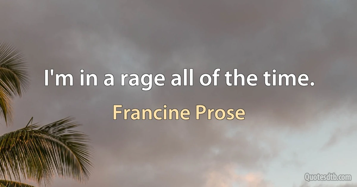 I'm in a rage all of the time. (Francine Prose)