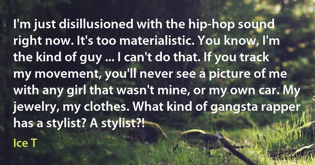 I'm just disillusioned with the hip-hop sound right now. It's too materialistic. You know, I'm the kind of guy ... I can't do that. If you track my movement, you'll never see a picture of me with any girl that wasn't mine, or my own car. My jewelry, my clothes. What kind of gangsta rapper has a stylist? A stylist?! (Ice T)