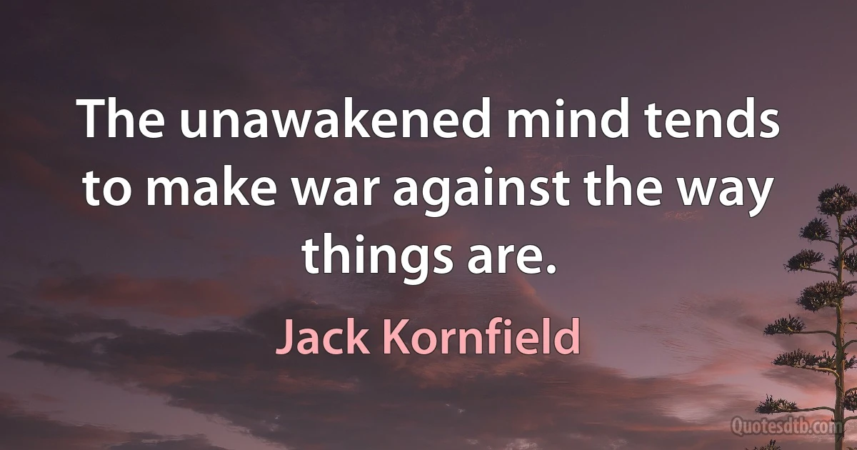 The unawakened mind tends to make war against the way things are. (Jack Kornfield)