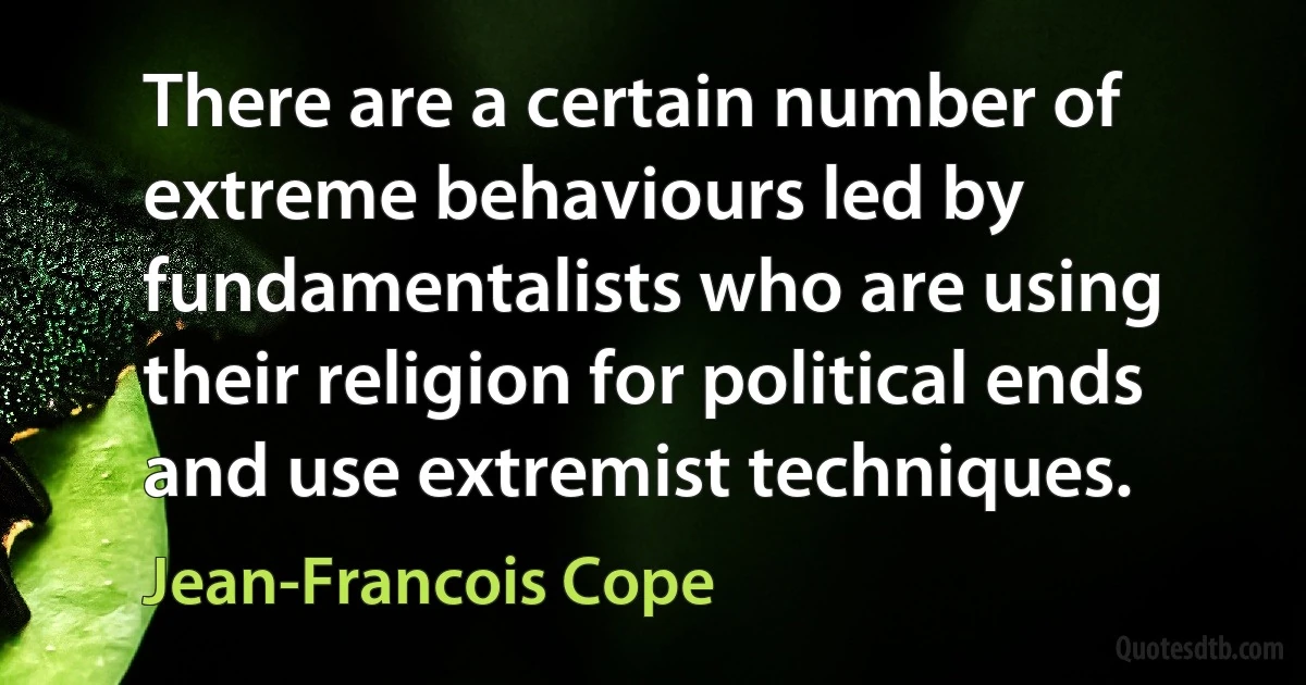 There are a certain number of extreme behaviours led by fundamentalists who are using their religion for political ends and use extremist techniques. (Jean-Francois Cope)