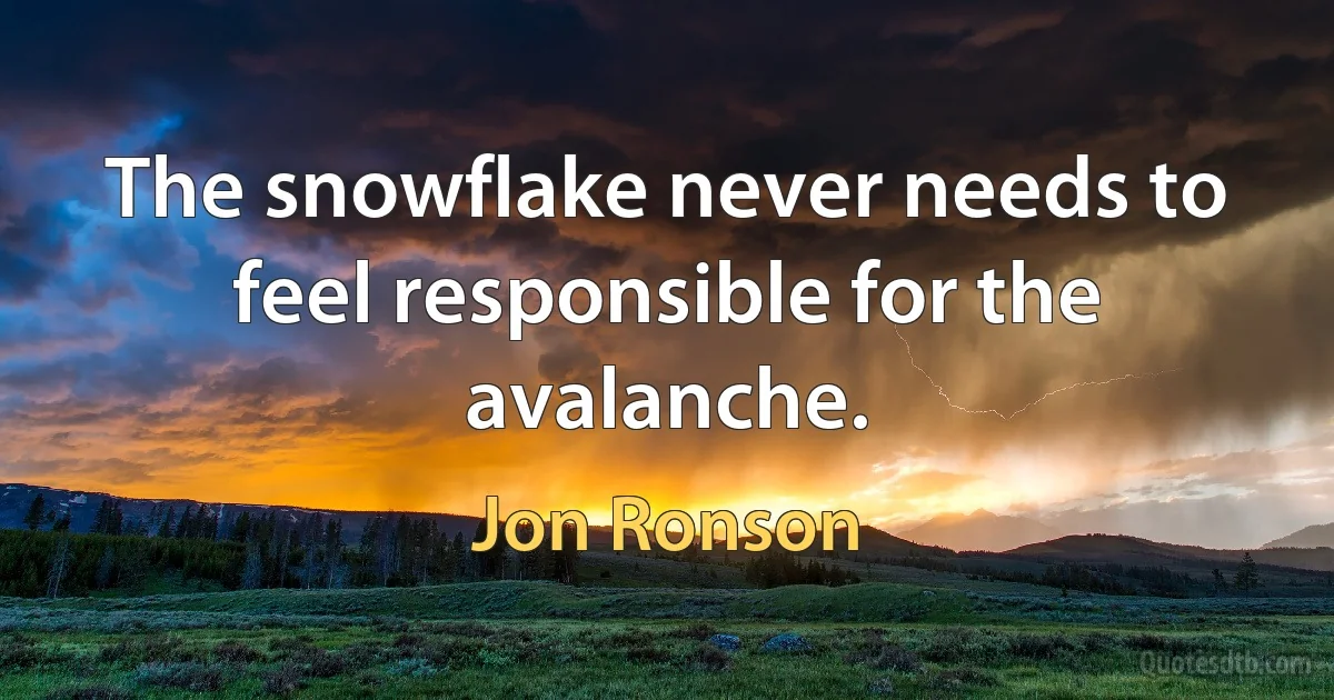 The snowflake never needs to feel responsible for the avalanche. (Jon Ronson)