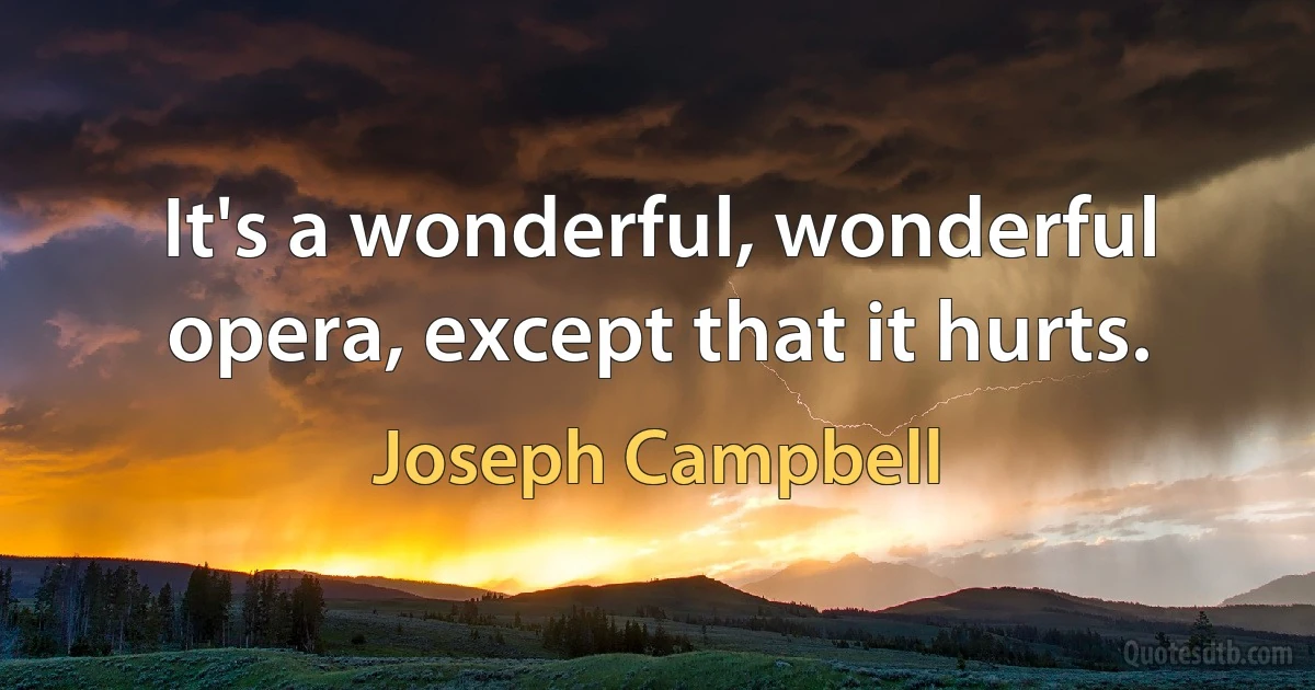 It's a wonderful, wonderful opera, except that it hurts. (Joseph Campbell)