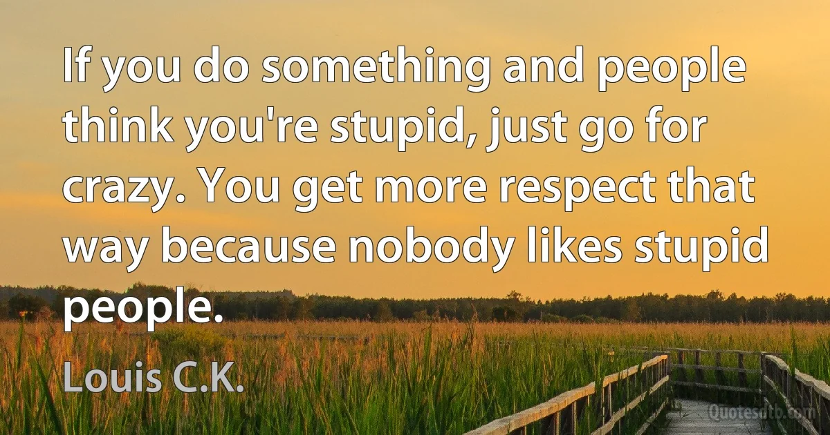 If you do something and people think you're stupid, just go for crazy. You get more respect that way because nobody likes stupid people. (Louis C.K.)