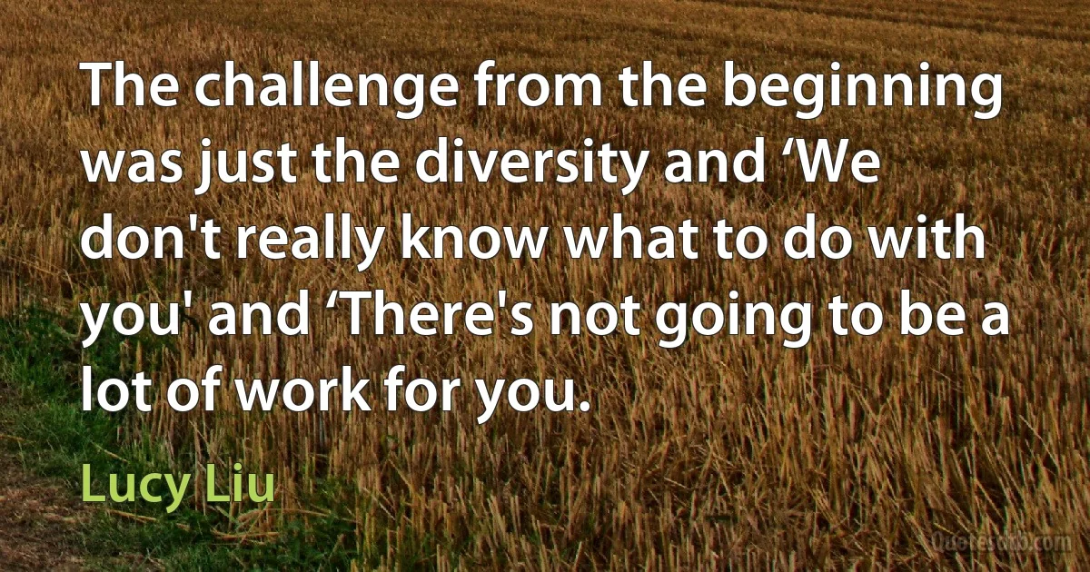 The challenge from the beginning was just the diversity and ‘We don't really know what to do with you' and ‘There's not going to be a lot of work for you. (Lucy Liu)