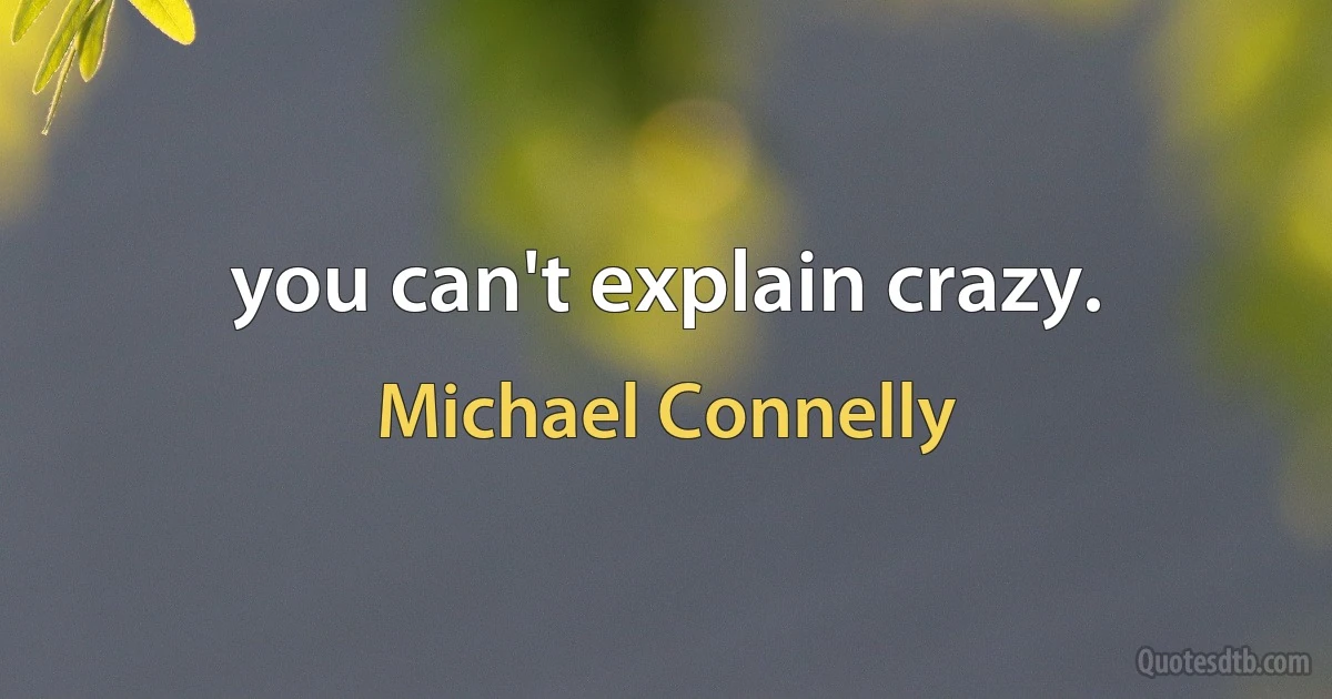 you can't explain crazy. (Michael Connelly)