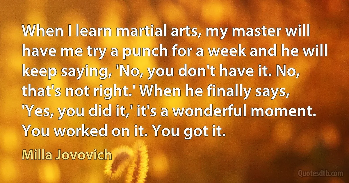 When I learn martial arts, my master will have me try a punch for a week and he will keep saying, 'No, you don't have it. No, that's not right.' When he finally says, 'Yes, you did it,' it's a wonderful moment. You worked on it. You got it. (Milla Jovovich)