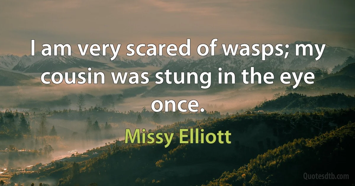 I am very scared of wasps; my cousin was stung in the eye once. (Missy Elliott)