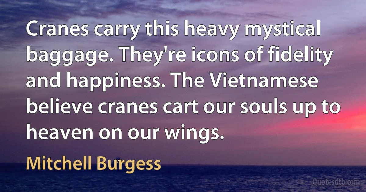 Cranes carry this heavy mystical baggage. They're icons of fidelity and happiness. The Vietnamese believe cranes cart our souls up to heaven on our wings. (Mitchell Burgess)