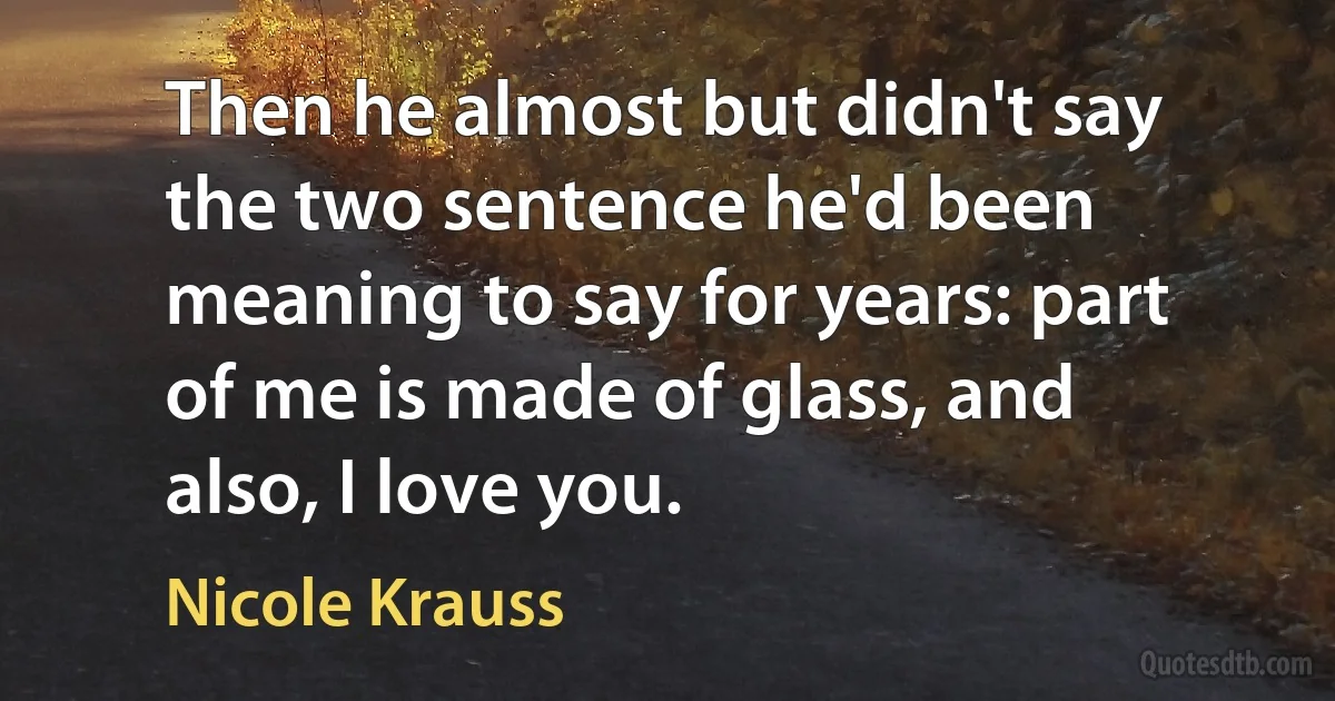 Then he almost but didn't say the two sentence he'd been meaning to say for years: part of me is made of glass, and also, I love you. (Nicole Krauss)