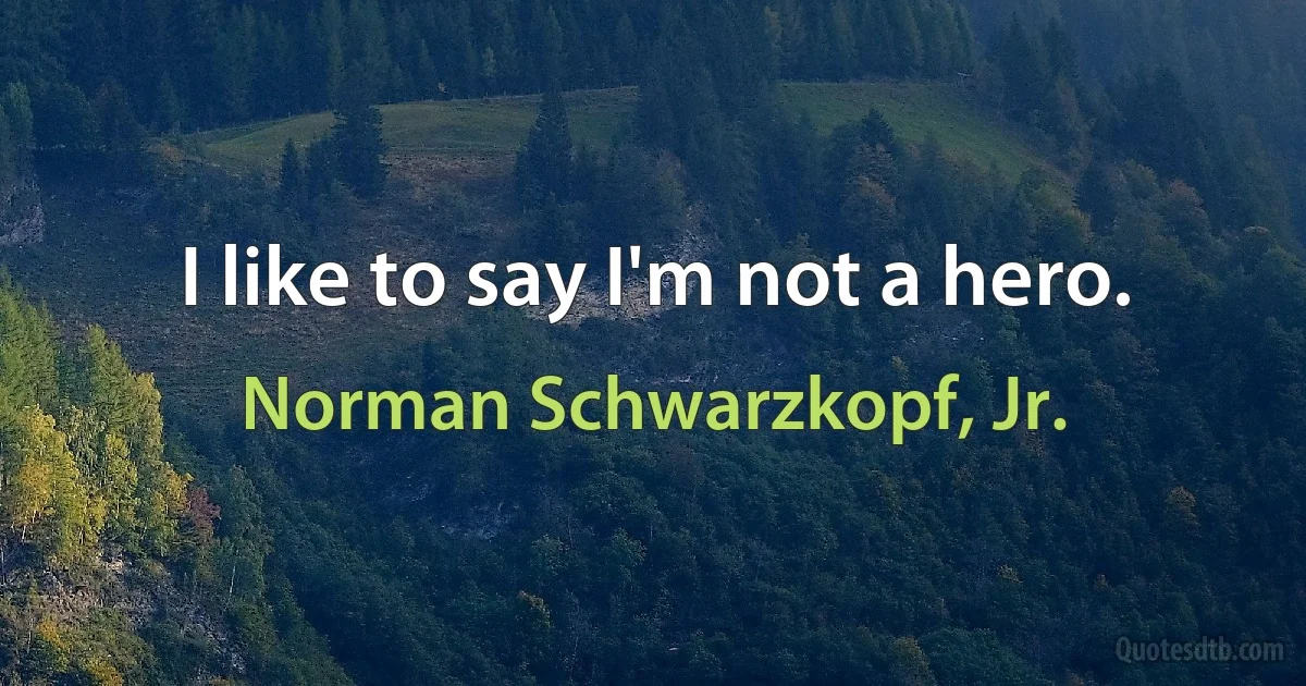 I like to say I'm not a hero. (Norman Schwarzkopf, Jr.)