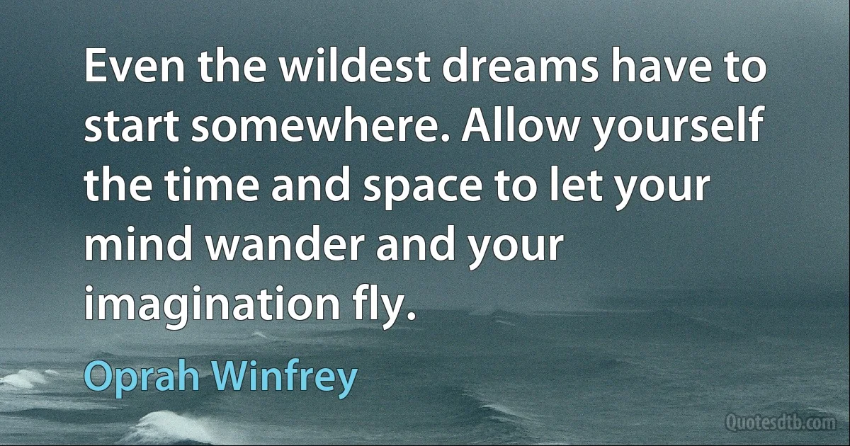 Even the wildest dreams have to start somewhere. Allow yourself the time and space to let your mind wander and your imagination fly. (Oprah Winfrey)