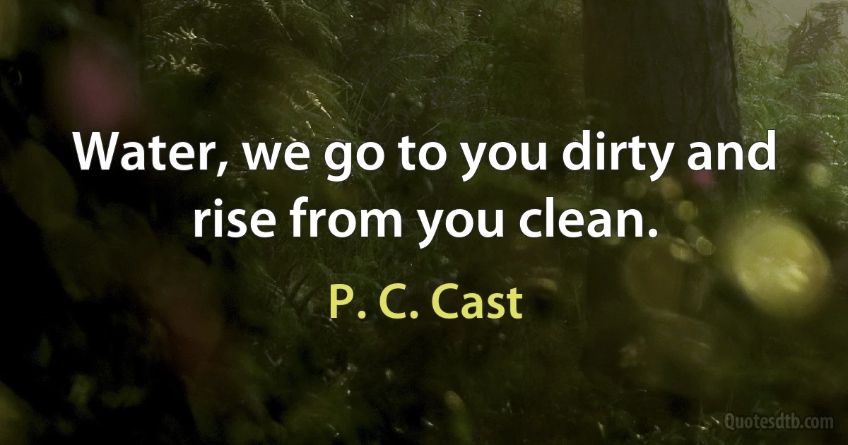 Water, we go to you dirty and rise from you clean. (P. C. Cast)