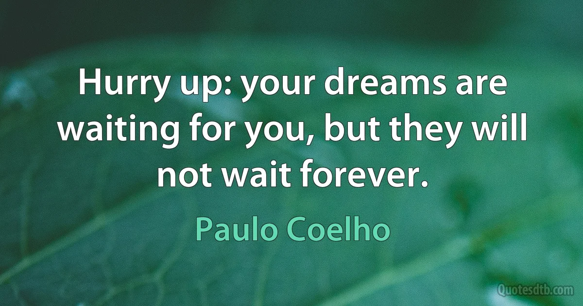 Hurry up: your dreams are waiting for you, but they will not wait forever. (Paulo Coelho)