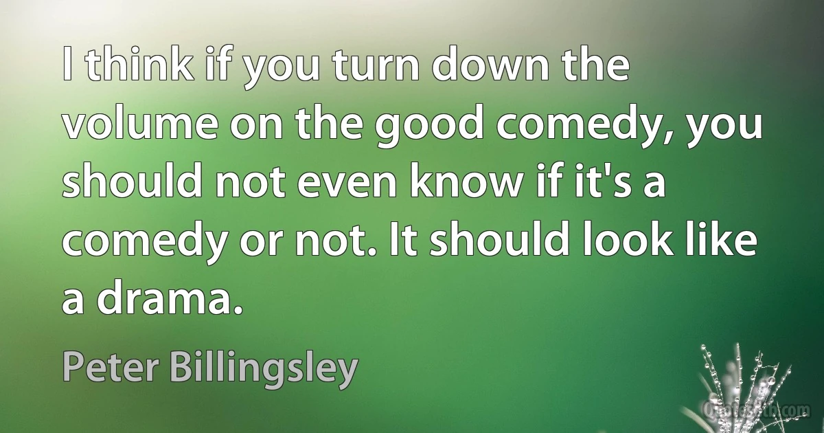 I think if you turn down the volume on the good comedy, you should not even know if it's a comedy or not. It should look like a drama. (Peter Billingsley)