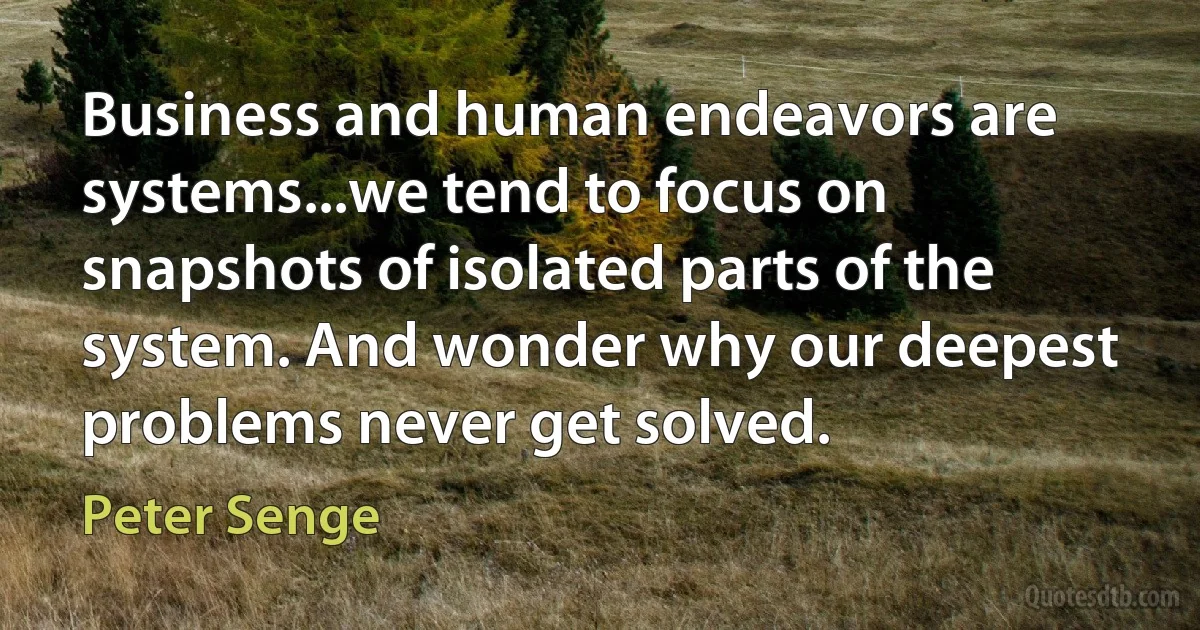 Business and human endeavors are systems...we tend to focus on snapshots of isolated parts of the system. And wonder why our deepest problems never get solved. (Peter Senge)