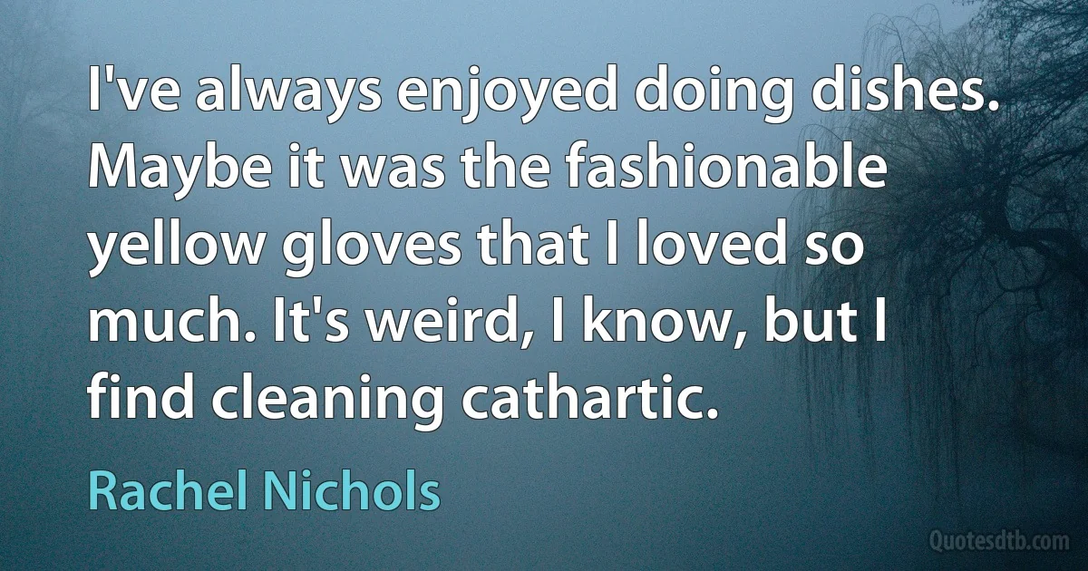 I've always enjoyed doing dishes. Maybe it was the fashionable yellow gloves that I loved so much. It's weird, I know, but I find cleaning cathartic. (Rachel Nichols)