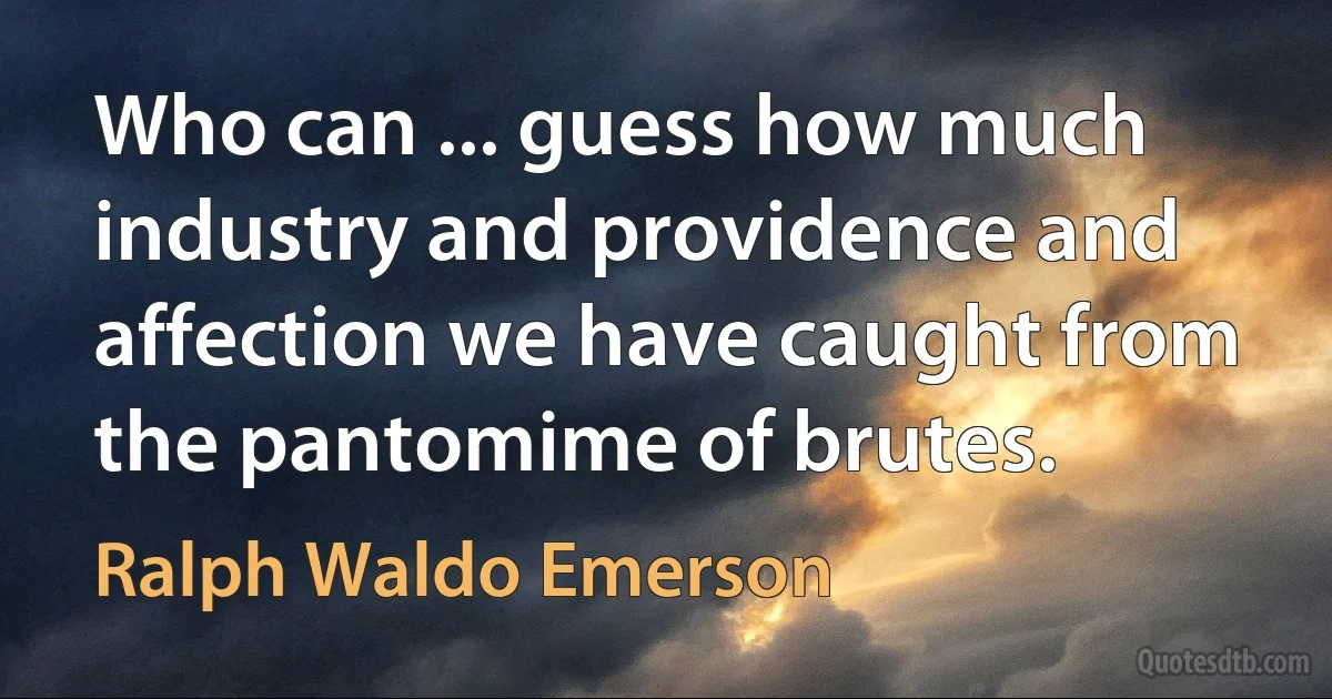 Who can ... guess how much industry and providence and affection we have caught from the pantomime of brutes. (Ralph Waldo Emerson)