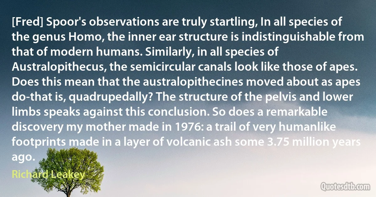 [Fred] Spoor's observations are truly startling, In all species of the genus Homo, the inner ear structure is indistinguishable from that of modern humans. Similarly, in all species of Australopithecus, the semicircular canals look like those of apes. Does this mean that the australopithecines moved about as apes do-that is, quadrupedally? The structure of the pelvis and lower limbs speaks against this conclusion. So does a remarkable discovery my mother made in 1976: a trail of very humanlike footprints made in a layer of volcanic ash some 3.75 million years ago. (Richard Leakey)