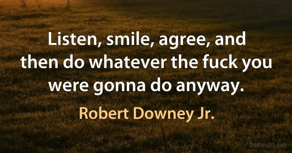 Listen, smile, agree, and then do whatever the fuck you were gonna do anyway. (Robert Downey Jr.)