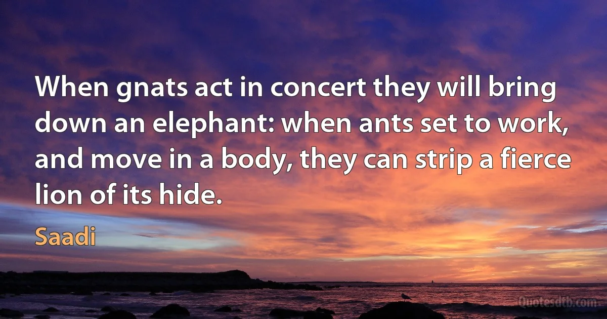 When gnats act in concert they will bring
down an elephant: when ants set to work,
and move in a body, they can strip a fierce
lion of its hide. (Saadi)