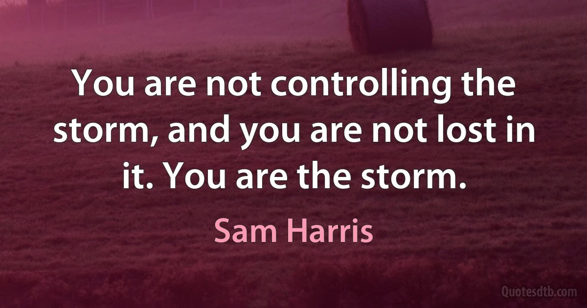 You are not controlling the storm, and you are not lost in it. You are the storm. (Sam Harris)