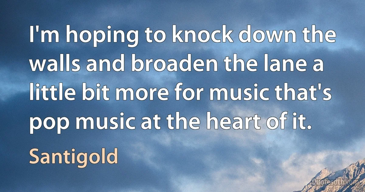 I'm hoping to knock down the walls and broaden the lane a little bit more for music that's pop music at the heart of it. (Santigold)