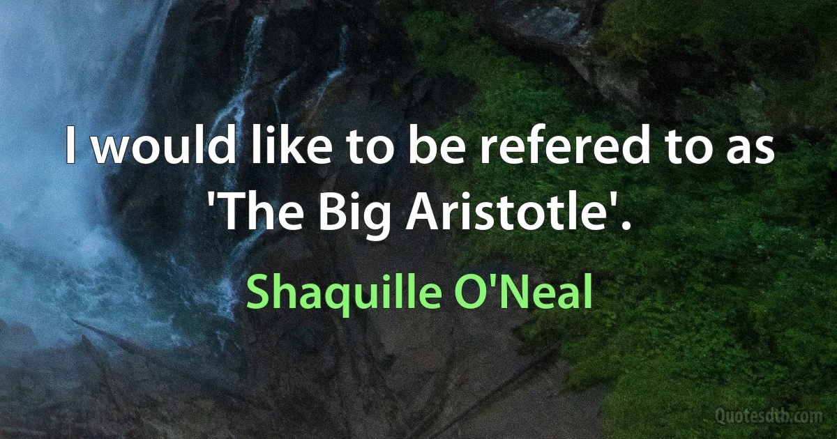 I would like to be refered to as 'The Big Aristotle'. (Shaquille O'Neal)