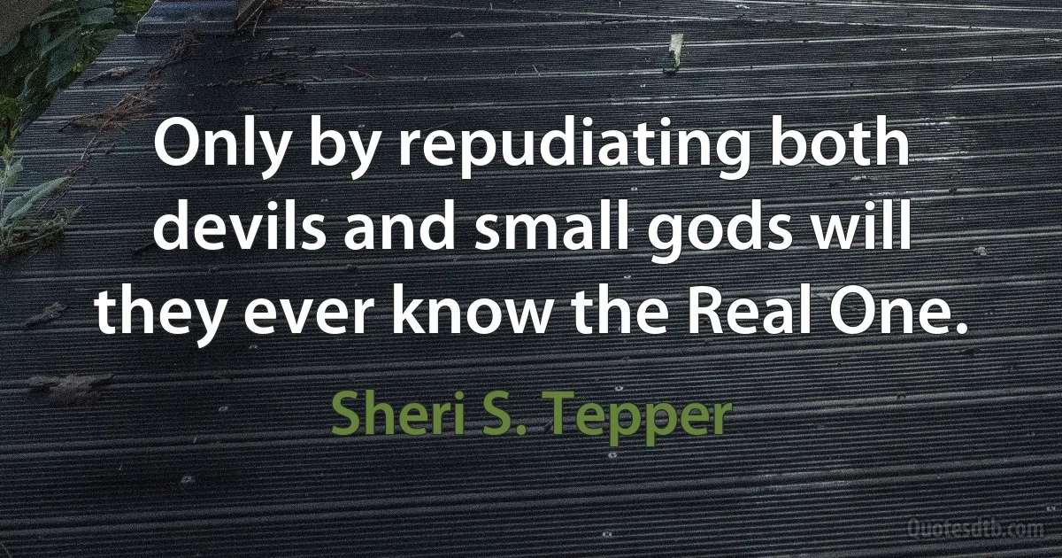 Only by repudiating both devils and small gods will they ever know the Real One. (Sheri S. Tepper)