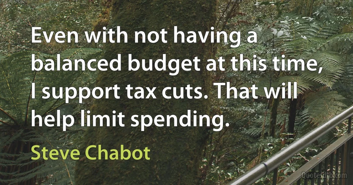 Even with not having a balanced budget at this time, I support tax cuts. That will help limit spending. (Steve Chabot)