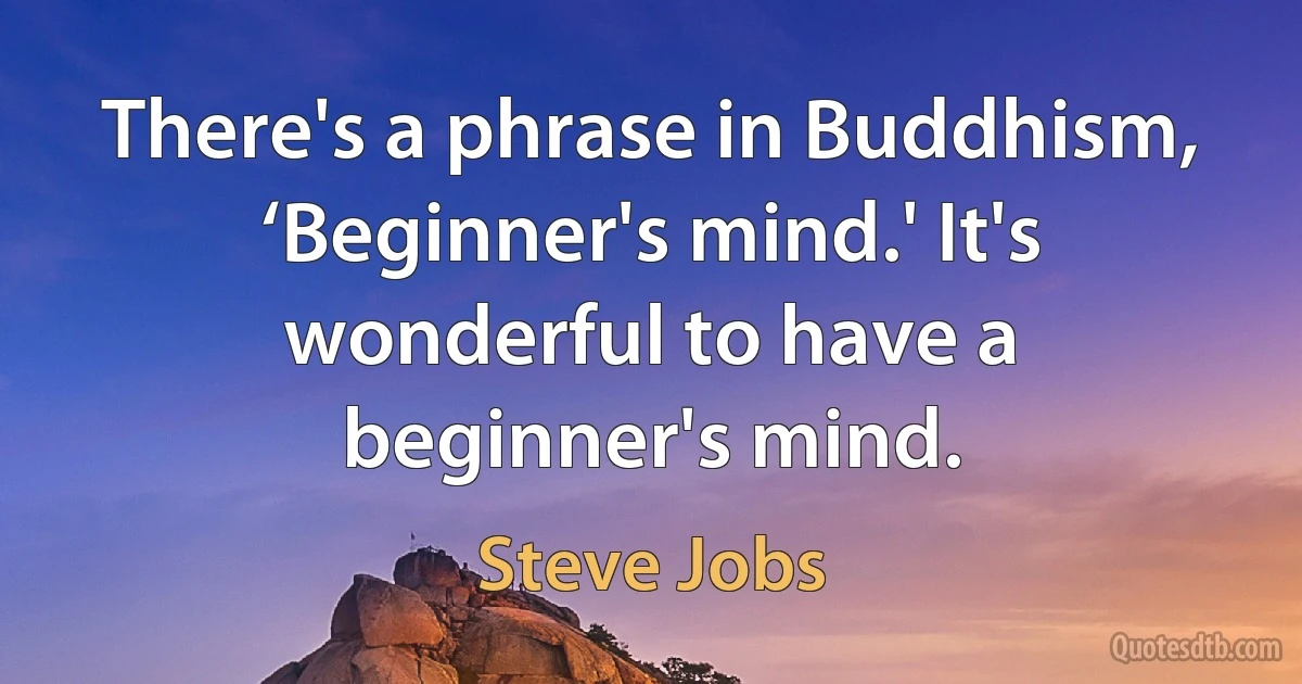 There's a phrase in Buddhism, ‘Beginner's mind.' It's wonderful to have a beginner's mind. (Steve Jobs)