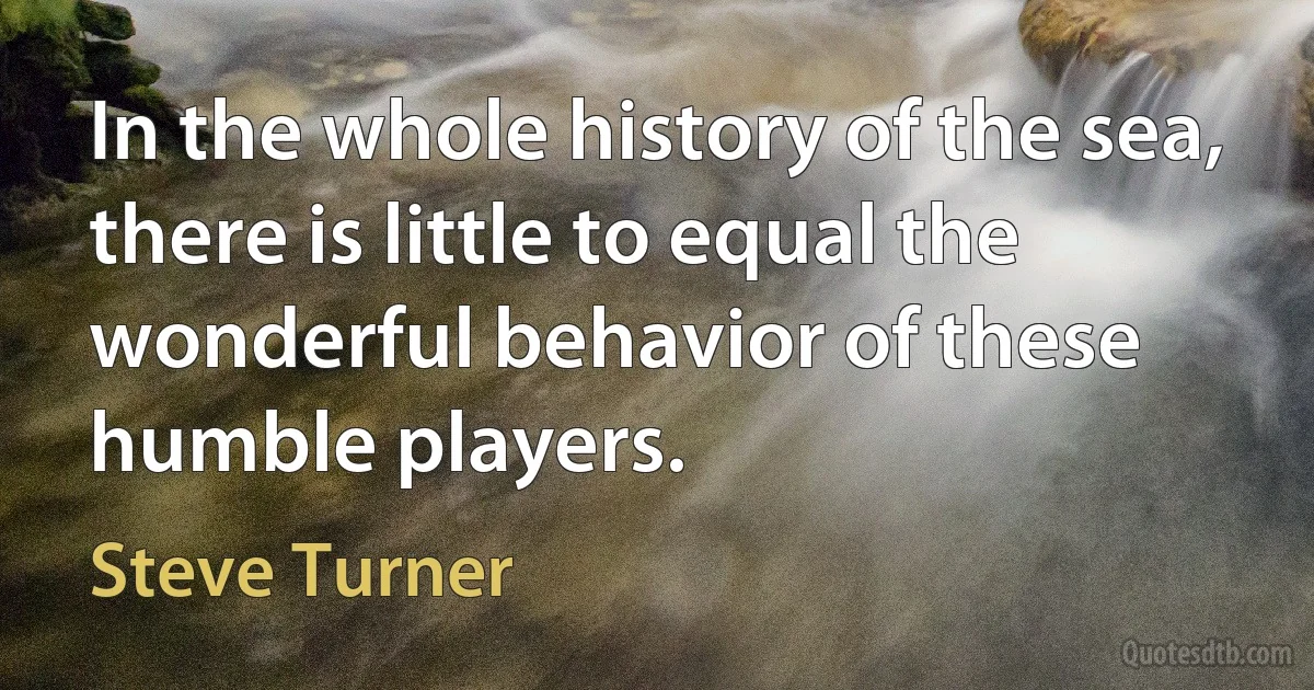 In the whole history of the sea, there is little to equal the wonderful behavior of these humble players. (Steve Turner)