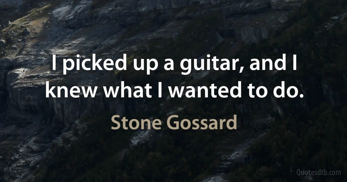 I picked up a guitar, and I knew what I wanted to do. (Stone Gossard)